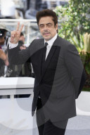 "The Phoenician Scheme" Photocall - The 78th Annual Cannes Film Festival