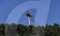 Greece Enters Wildfire Season