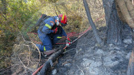 Greece Enters Wildfire Season