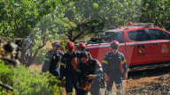 Greece Enters Wildfire Season