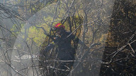 Greece Enters Wildfire Season