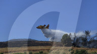 Greece Enters Wildfire Season