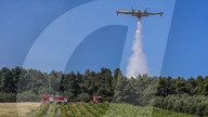 Greece Enters Wildfire Season