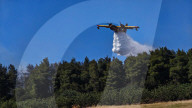 Greece Enters Wildfire Season