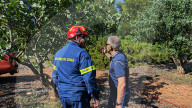 Greece Enters Wildfire Season