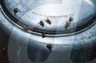 Housefly (Musca Domestica) Infestation Is Increasing Due To Intense Heat