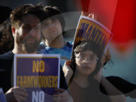 Protest In New York