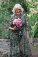 Beckham at Chelsea Flower Show