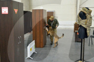 Defence Intelligence of Ukraine celebrates their working dogs