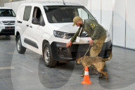Defence Intelligence of Ukraine celebrates their working dogs