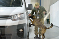 Defence Intelligence of Ukraine celebrates their working dogs
