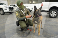 Defence Intelligence of Ukraine celebrates their working dogs