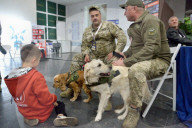 Defence Intelligence of Ukraine celebrates their working dogs