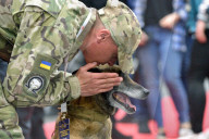 Defence Intelligence of Ukraine celebrates their working dogs