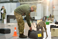 Defence Intelligence of Ukraine celebrates their working dogs