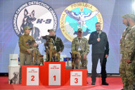 Defence Intelligence of Ukraine celebrates their working dogs