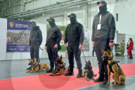 Defence Intelligence of Ukraine celebrates their working dogs
