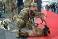Defence Intelligence of Ukraine celebrates their working dogs