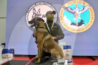 Defence Intelligence of Ukraine celebrates their working dogs