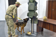Defence Intelligence of Ukraine celebrates their working dogs