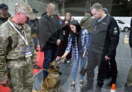 Defence Intelligence of Ukraine celebrates their working dogs