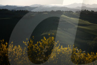 Daily Life In Emilia-Romagna