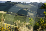 Daily Life In Emilia-Romagna