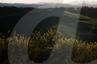 Daily Life In Emilia-Romagna