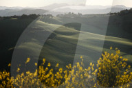 Daily Life In Emilia-Romagna