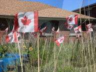 Daily Life During Victoria Day In Toronto