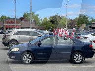 Daily Life During Victoria Day In Toronto