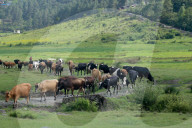 Jiri- The Trekking Gateway To The Everest Region