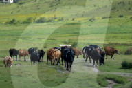 Jiri- The Trekking Gateway To The Everest Region