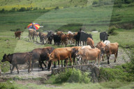 Jiri- The Trekking Gateway To The Everest Region