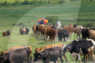 Jiri- The Trekking Gateway To The Everest Region