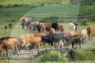 Jiri- The Trekking Gateway To The Everest Region