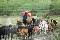 Jiri- The Trekking Gateway To The Everest Region