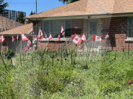 Daily Life During Victoria Day In Toronto