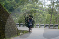 BP Highway Of Nepal