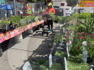 People Shopping For Flowers And Plants During Victoria Day In Toronto