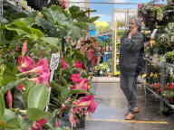 People Shopping For Flowers And Plants During Victoria Day In Toronto