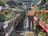 People Shopping For Flowers And Plants During Victoria Day In Toronto