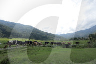 Jiri- The Trekking Gateway To The Everest Region Of Nepal