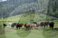 Jiri- The Trekking Gateway To The Everest Region Of Nepal