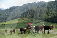 Jiri- The Trekking Gateway To The Everest Region Of Nepal