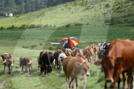 Jiri- The Trekking Gateway To The Everest Region Of Nepal