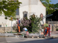 Construction Workers