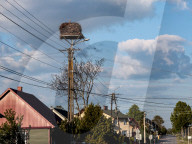A Stork Is Seen Standing On A Street Light Pole In A Village Near Ilza, Poland On May 19, 2025.