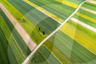 Agriculture Season In Poland