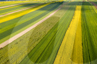 Agriculture Season In Poland